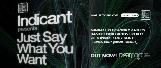 Indicant - Just Say What You Want